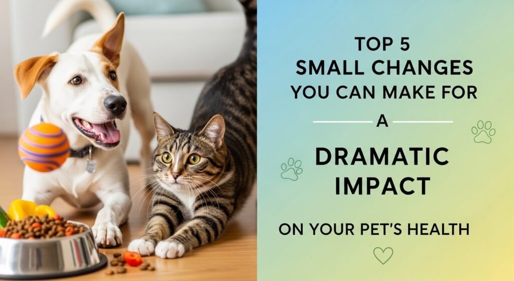 Top 5 Small Changes You Can Make for a Dramatic Impact on Your Pet's Health